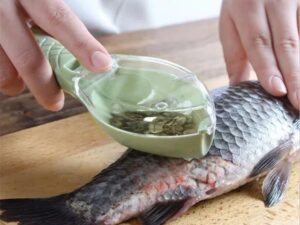 Fish Scale Scraper with Cover – Kitchen & Fishing Cleaning Tool