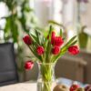 Home & Garden