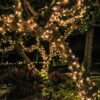 Holiday Lighting