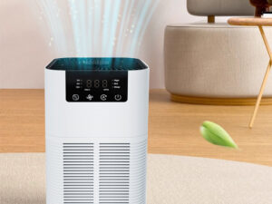 Smart Air Purifier with HEPA Filter